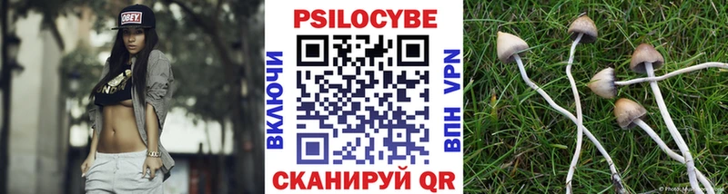 Галлюциногенные грибы MAGIC MUSHROOMS  Купить  Камышлов 